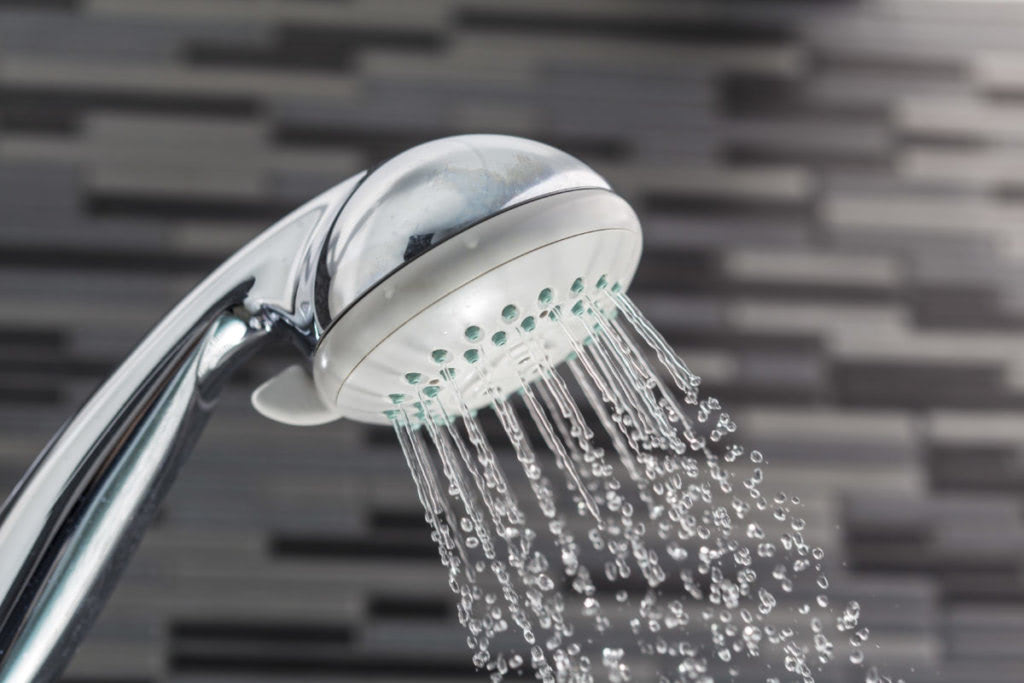 Lung Disease-Causing Bacteria Prevalent In Showerheads