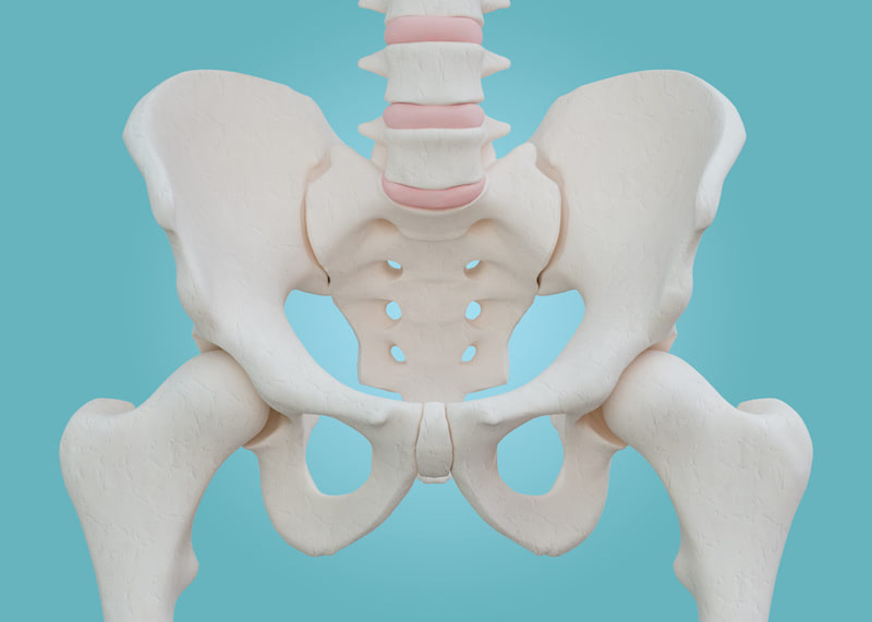 Hip Skeleton on blue background with clipping path.