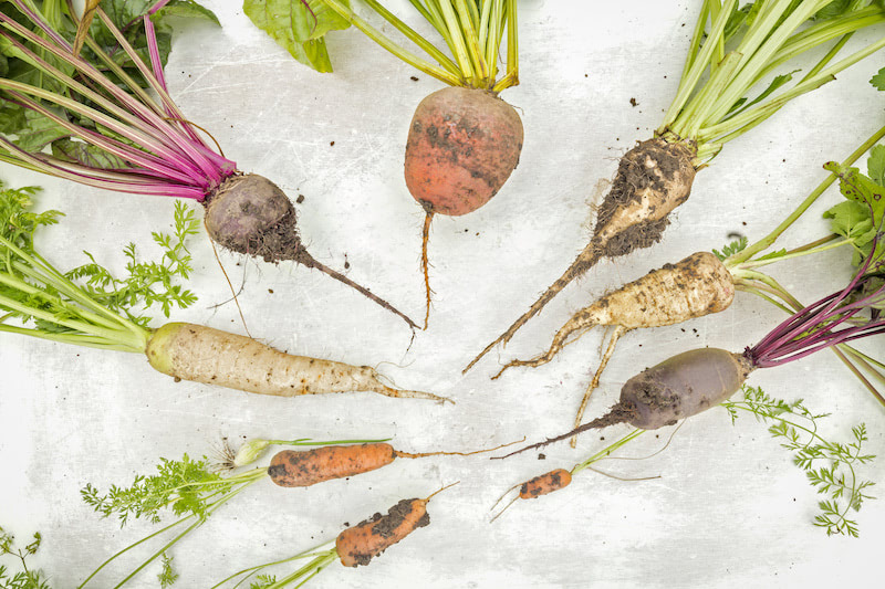 Selection of Fresh Root Vegetables on Bright Scratchy Background