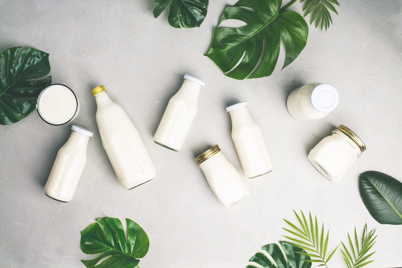 Various bottles of milk and tropical leaves on grey concrete background, flat lay. Vegan, vegetarian or clean eating concept