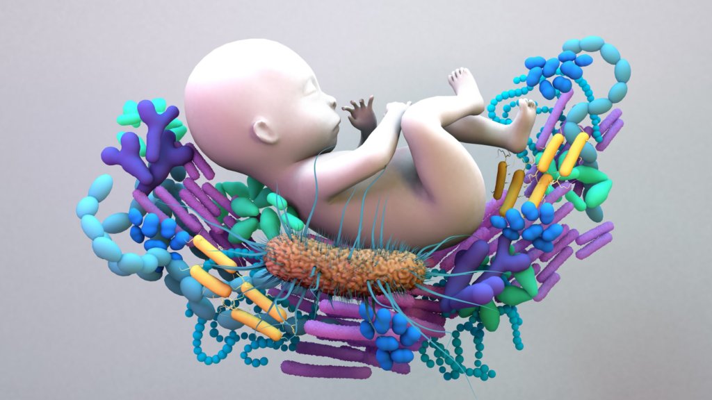 FMT Establishes Flourishing Gut Microbiome In Infants Born Via C-Section