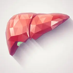 Gut Guide - Liver Disease