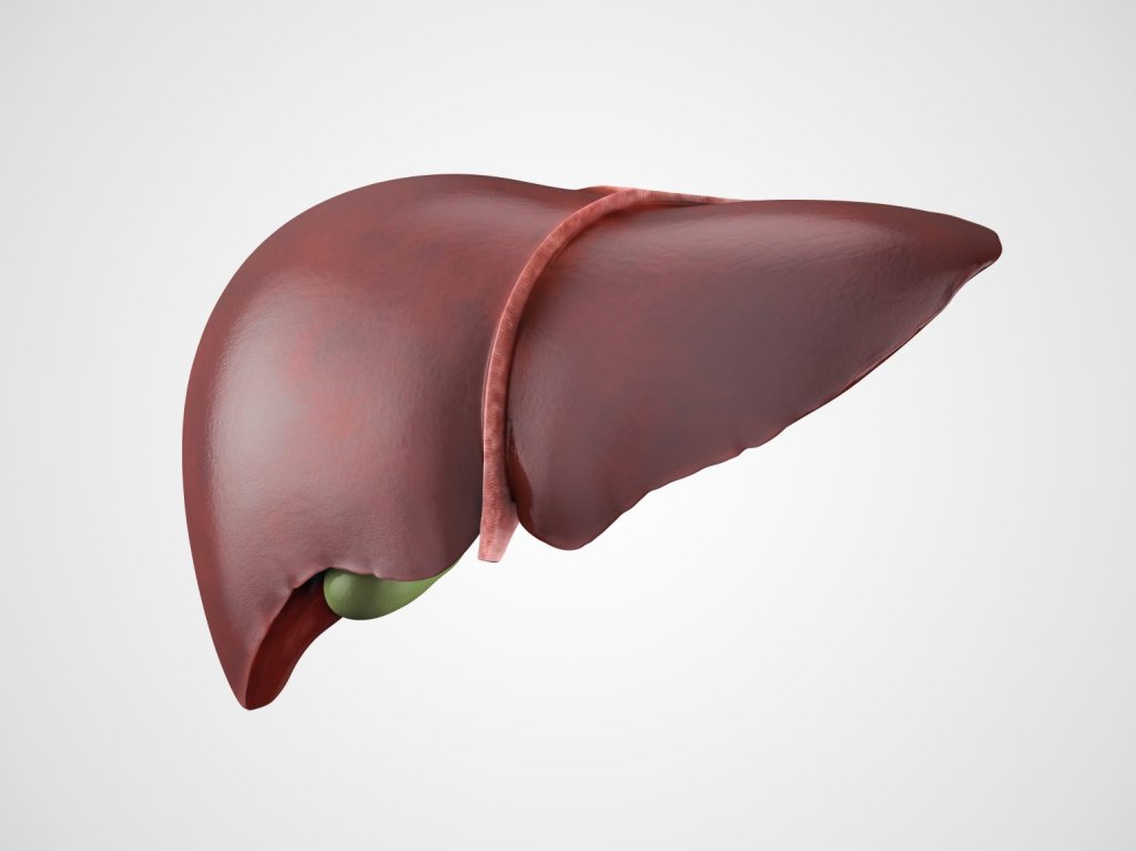 Is Your Liver Healthy?