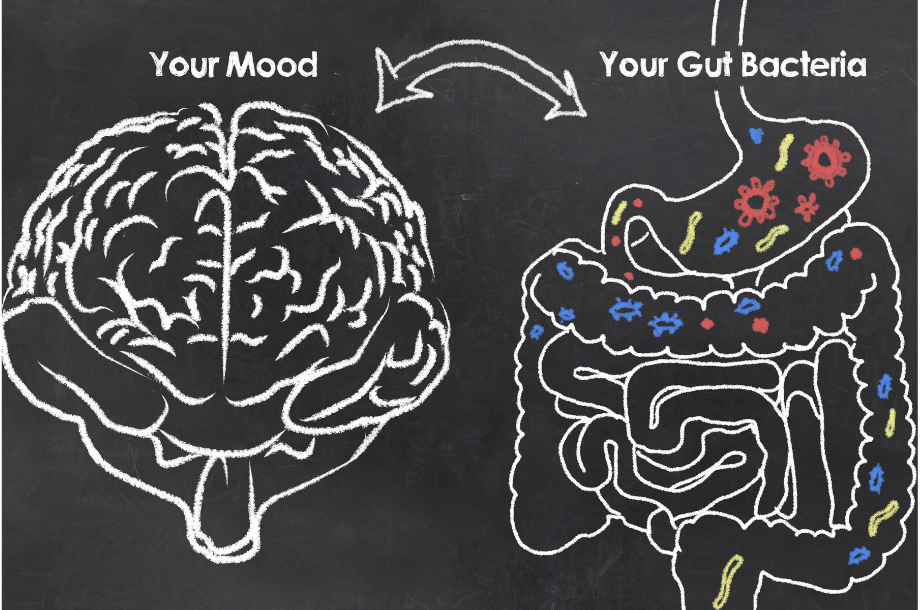 Stress Rapidly Alters Gut Health