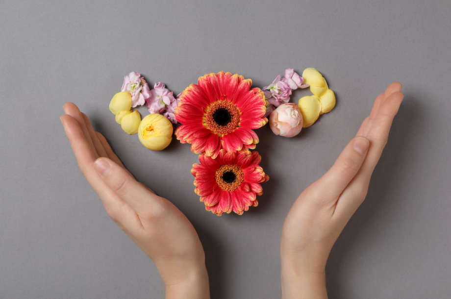Hormone Replacement Therapy (HRT) Alternatives